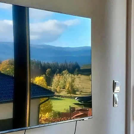 Apartament świerkowe 1 *